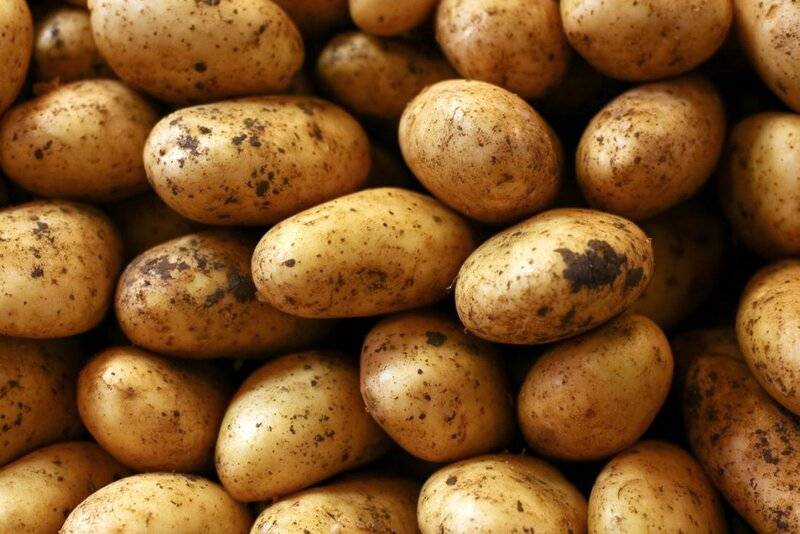 01 potato.jpg