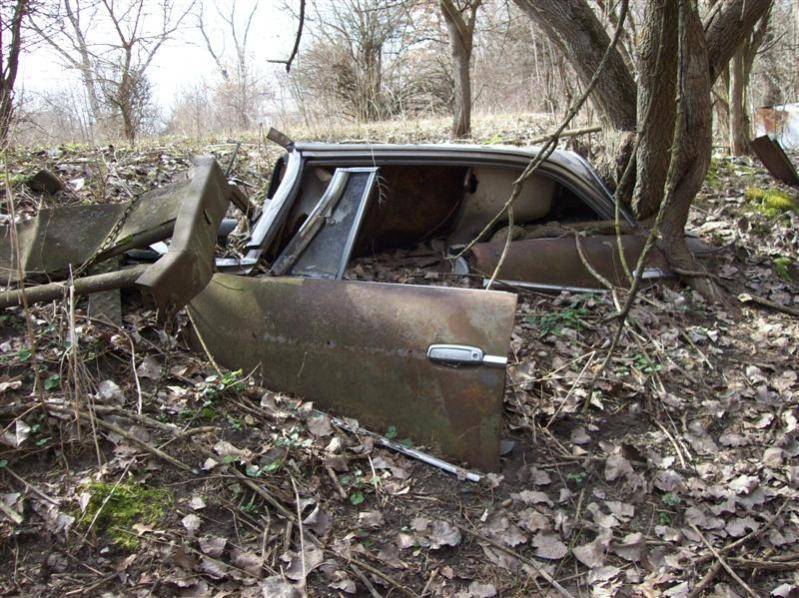 100_6225 (Medium).jpg