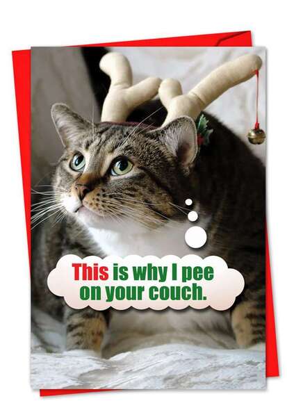 1130-pee-on-couch-funny-christmas-card-nobleworks.jpg
