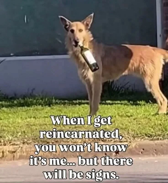 1779062946089.png