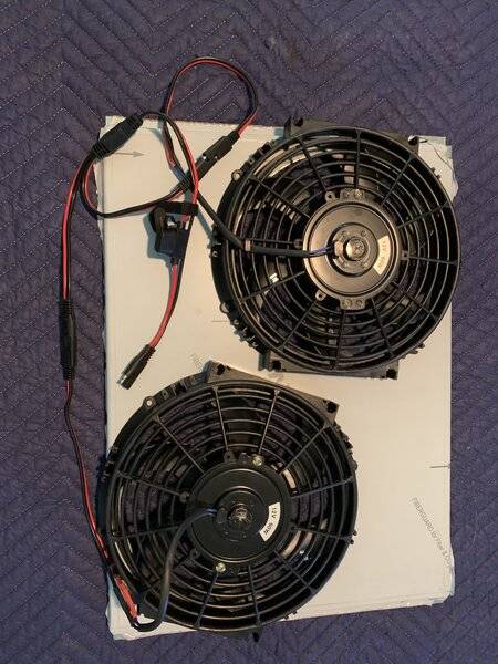 2 10 inch fan with shroud and fused wiring.JPG