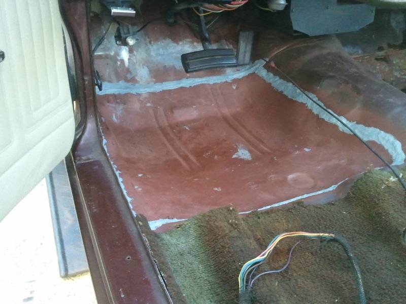 2011-07-18 07.08.09.jpg