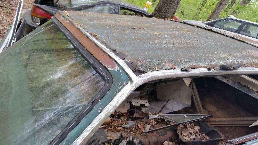 20160423_124853 resize.jpg