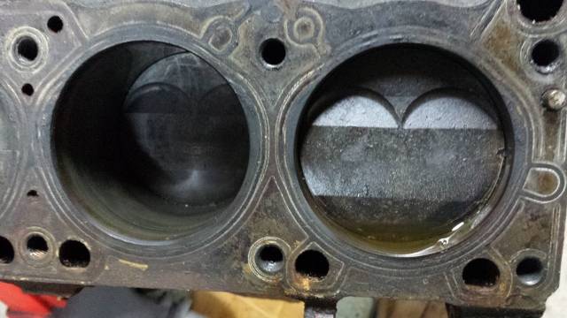 20180404_150529 (640x360).jpg