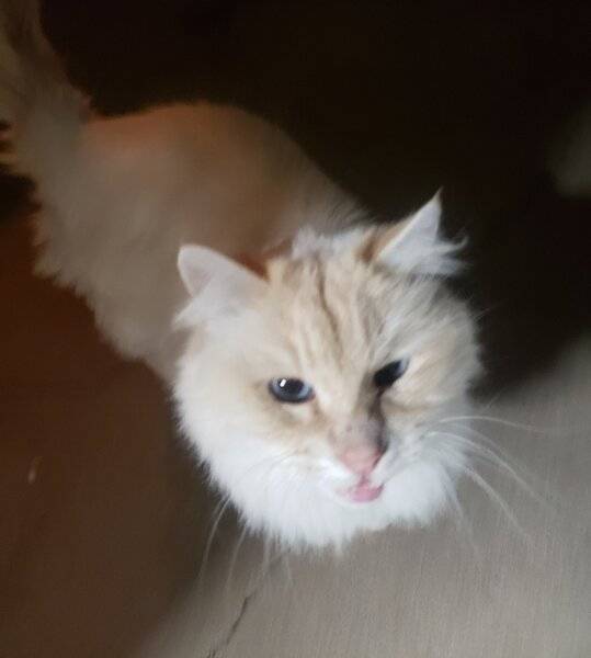 20201130_000314 (2).jpg