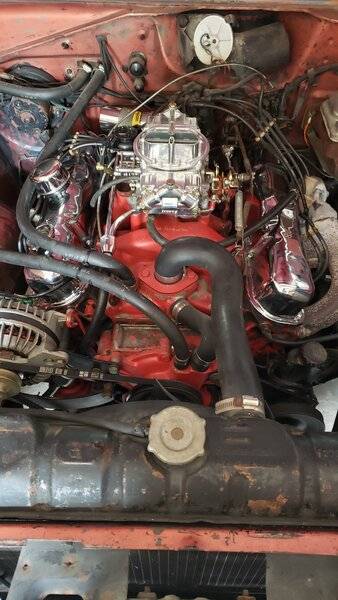 20250427_145248 (1).jpg