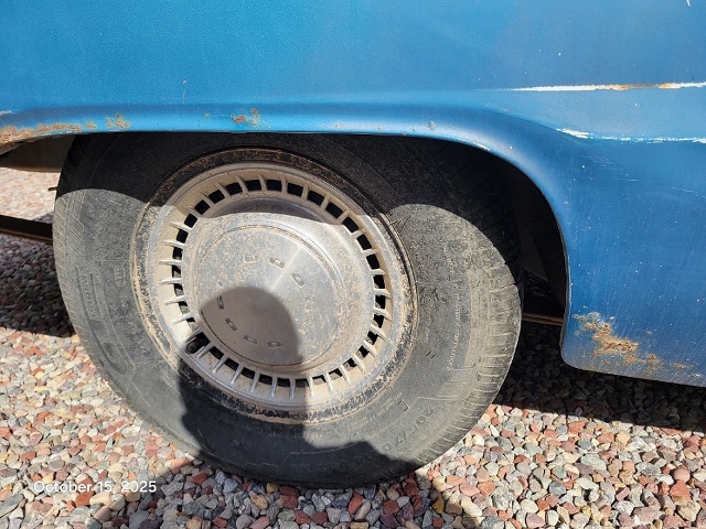 20251015_114251 (640x480).jpg