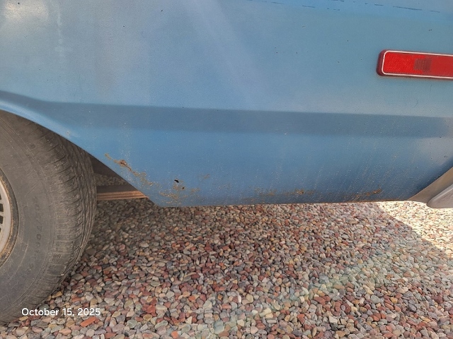 20251015_114311 (640x480).jpg