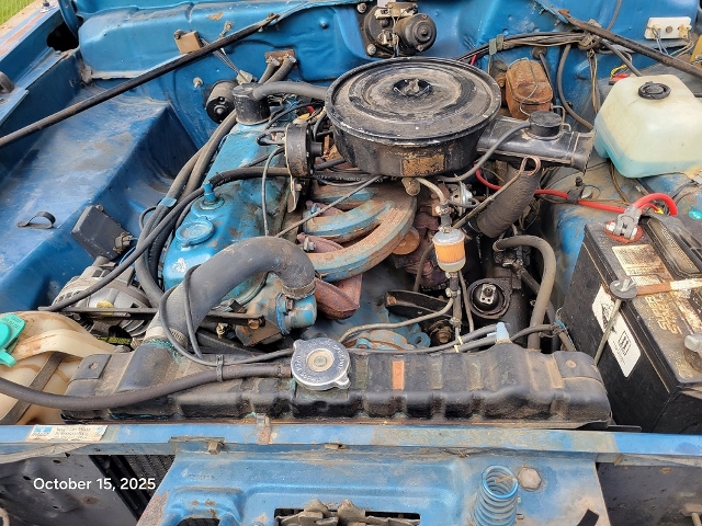 20251015_114438 (640x480).jpg