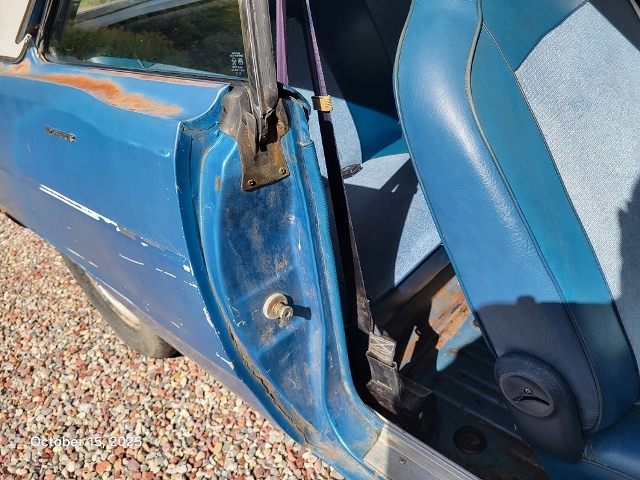 20251015_120336 (640x480).jpg