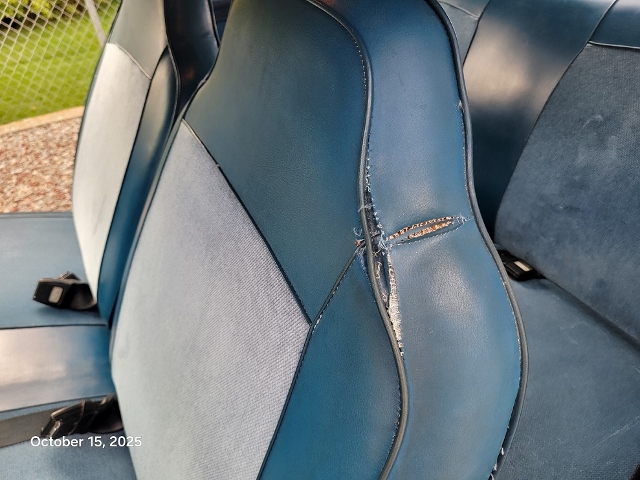 20251015_120834 (640x480).jpg