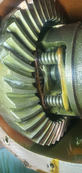 20260523_155412.jpg