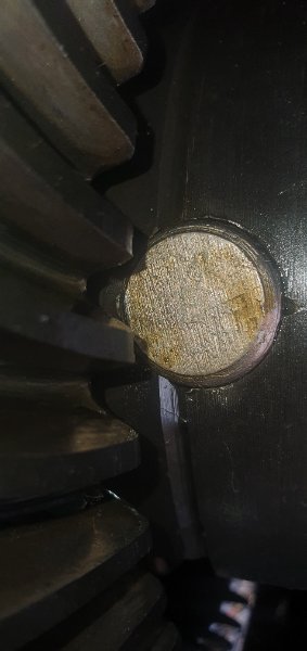 20260523_160234.jpg