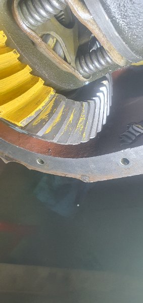 20260523_223821.jpg
