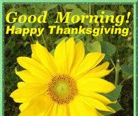 288438-Good-Morning-Happy-Thanksgiving-Have-A-Nice-Day-[1].jpg