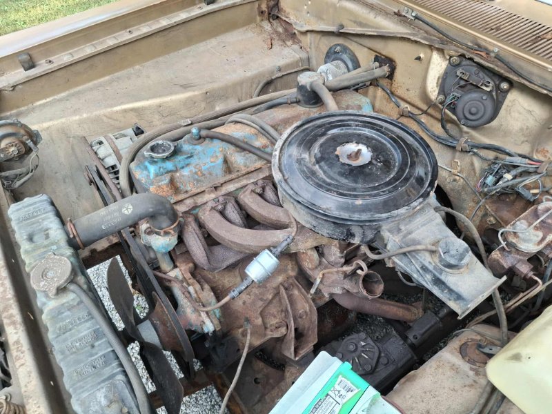 444c3734-7d14-4720-a9ef-5e35ae17eb99 (2).jpg