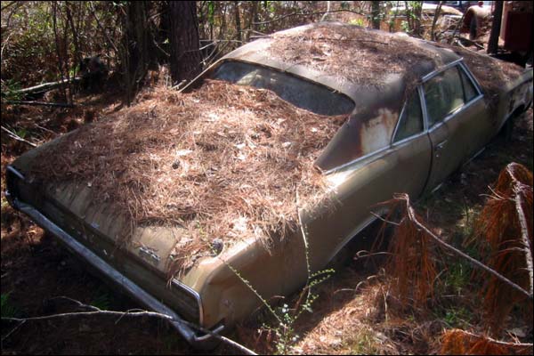 abandoned-for-sale-1966-pontiac-gto-convertible-shane.jpg