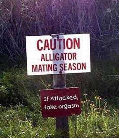 alligator warn sign.JPG