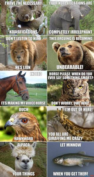animal-puns1.jpg