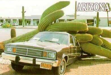 Arizona fairmont.jpg