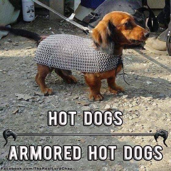 armored hot dogs.jpg
