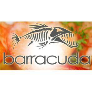 barracuda-jpg-1.jpg