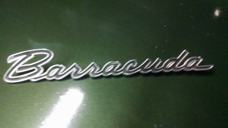 Barracuda script front.jpg