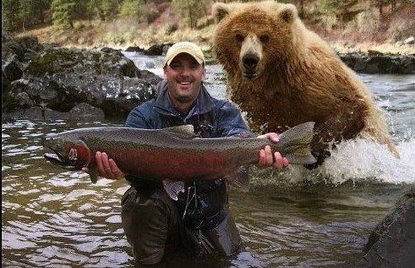 Bear fish.jpg