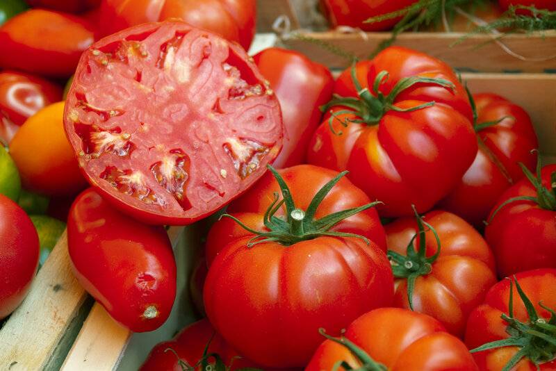 Beefsteak-tomato.jpg