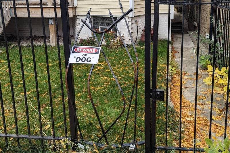 beware of dog fence.jpg