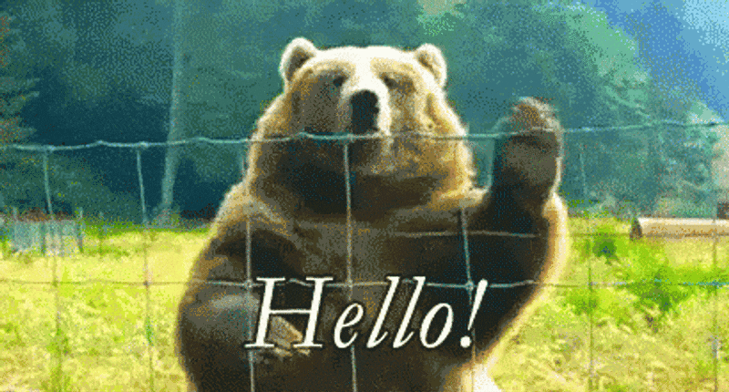big-brown-bear-wave-hello-lyhi09uk3lydjxh2.gif