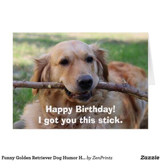 birthdaystickdog.jpg