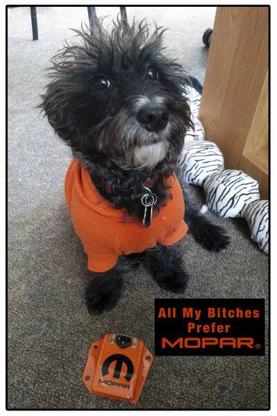 Bitches-Prefer-Mopar.jpg