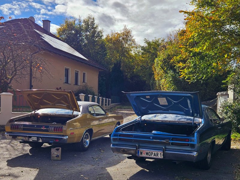 c516a59a-08f1-43ba-a374-eae3cf180d8c (002).JPG