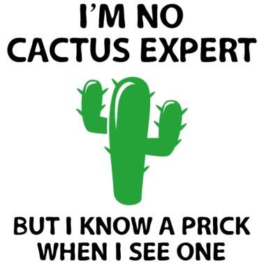 Cactus Prick.jpg