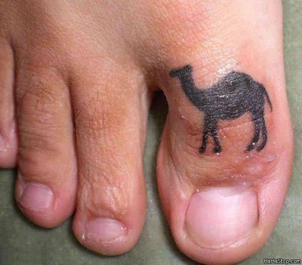 camel-tattoo-toe.jpg