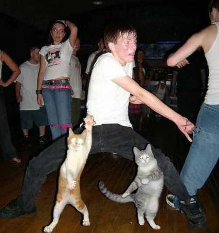 cat-dance.jpg