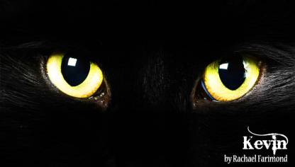 Cat Eyes.jpg