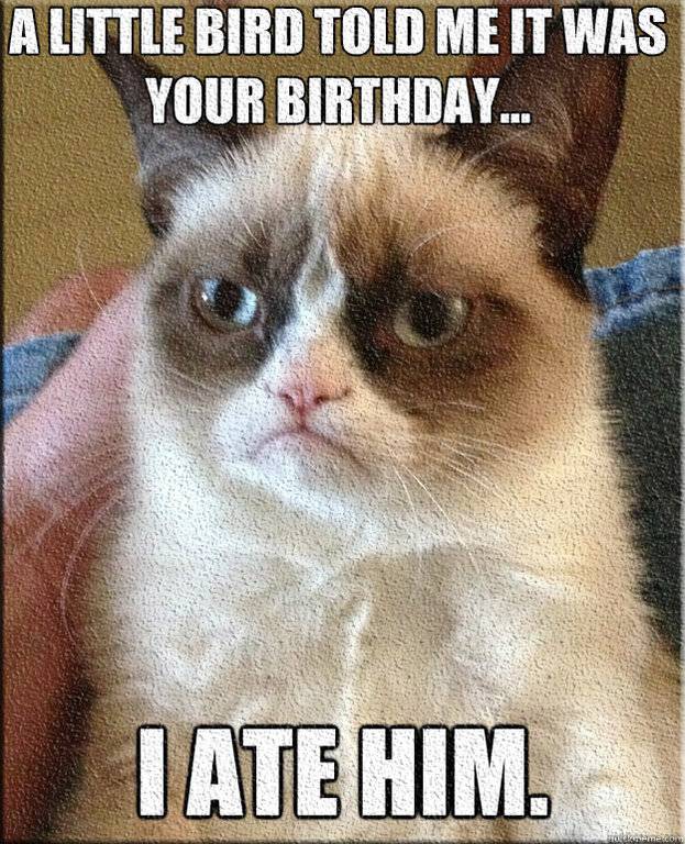 Cat-Happy-Birthday-Meme.jpg