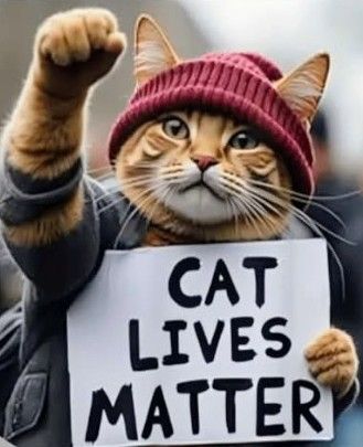 CAT LIVES MATTER.jpg