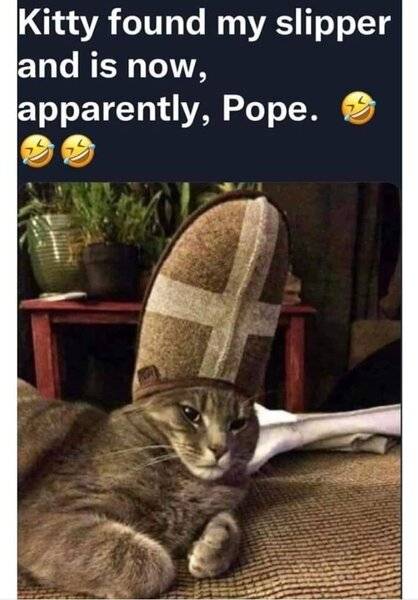 CAT POPE.jpg
