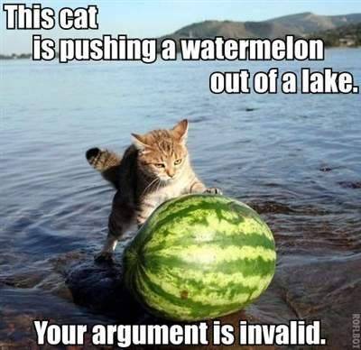 Cat_Watermelon_Lake.jpg