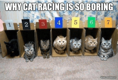 catracing.png