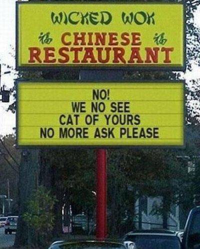 chinese food cat.jpg