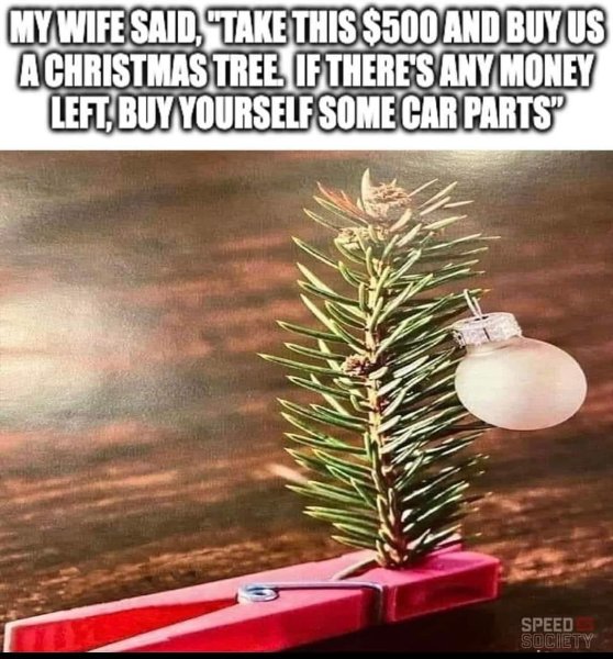 CHRISTMAS TREE.jpg
