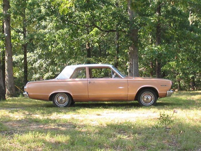 cook and fish 893.jpg