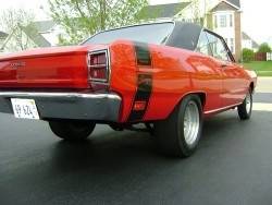 Copy of dart back [50%].jpg