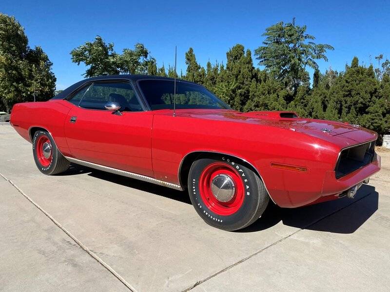 Copy of IMG-8930.jpg