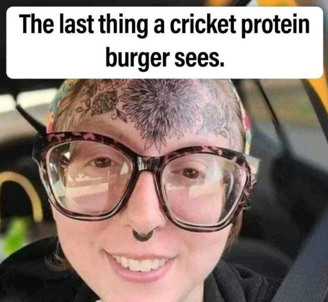 cricket_protein_burger.jpeg.jpg