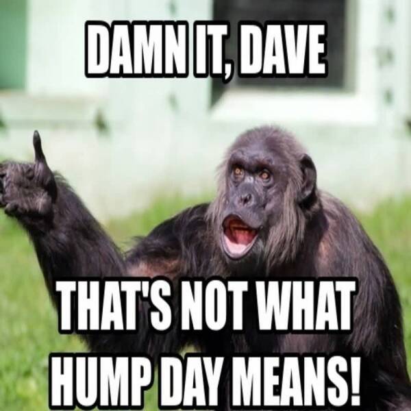 Damn-It-Dave-Thats-Not-What-Hump-Day-Means.jpg